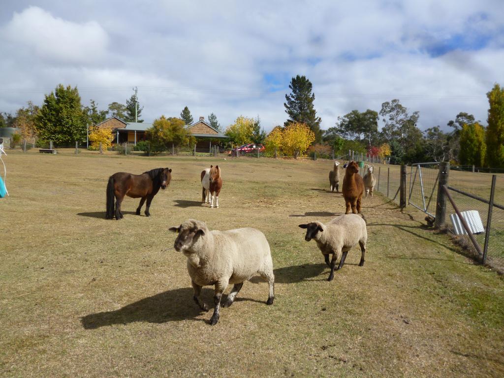 Woodvale At Cooma Villa Buitenkant foto