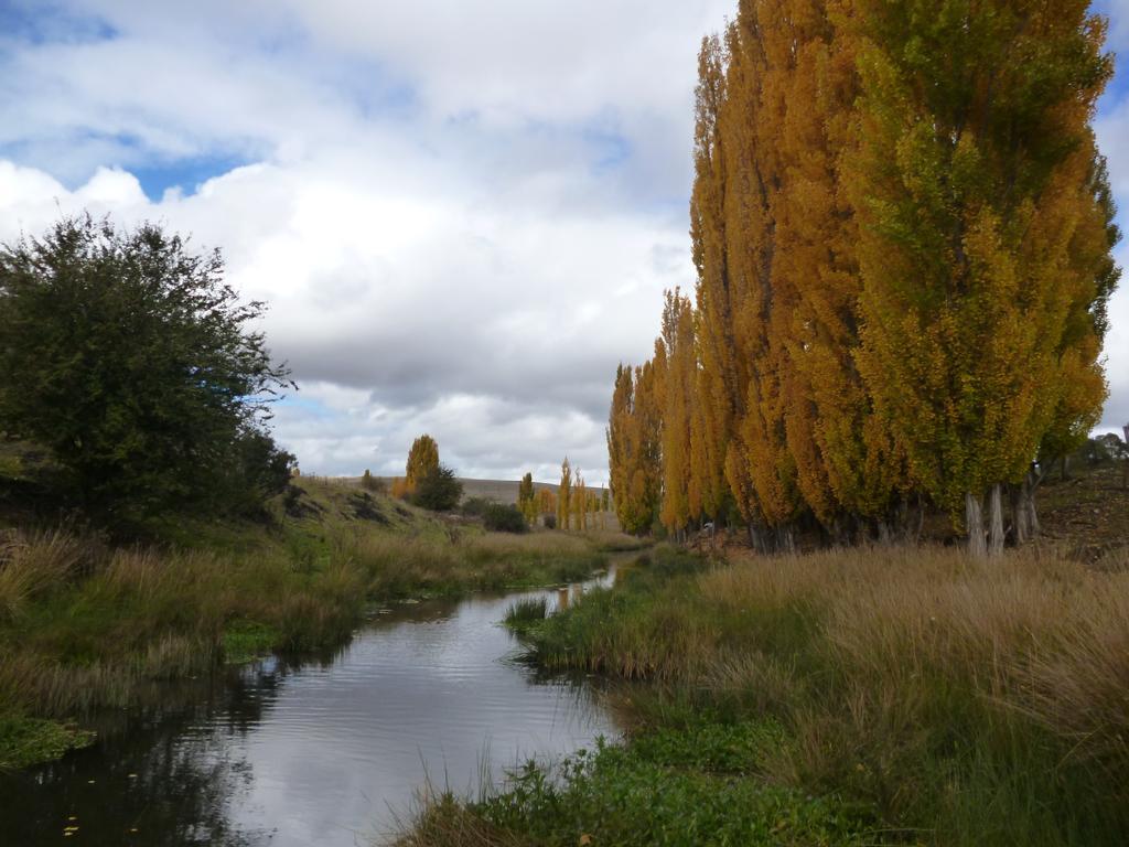 Woodvale At Cooma Villa Buitenkant foto